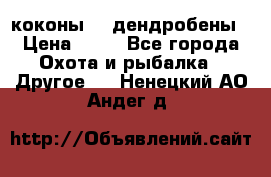 коконы    дендробены › Цена ­ 25 - Все города Охота и рыбалка » Другое   . Ненецкий АО,Андег д.